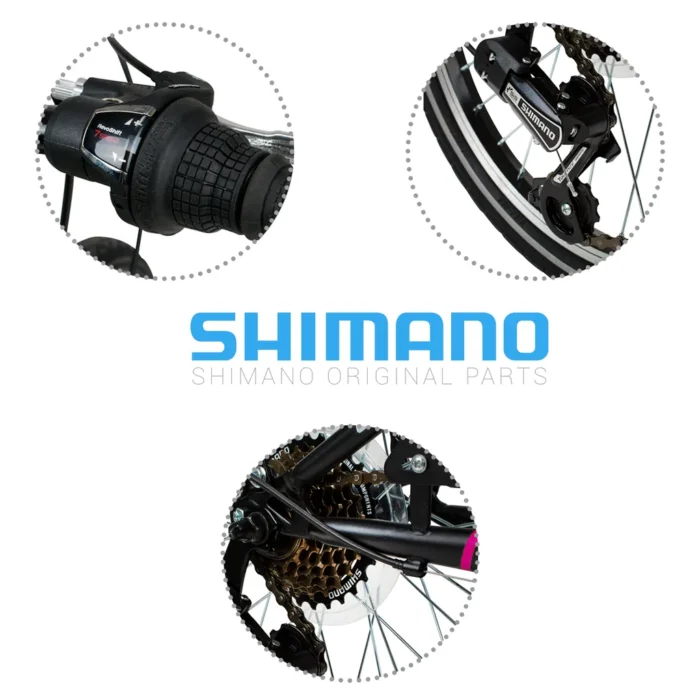 270a360f117f5386db8ffef1b13c5f39-1.webp