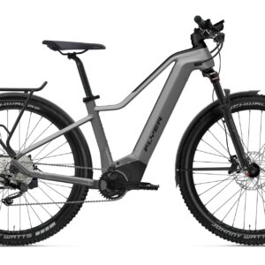 Flyer Goroc2 2.10 - 750 Wh - 2022 - 29 Zoll - Diamant