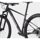 CANNONDALE-TRAIL-SL-3-HARDTAIL-MTB-SHIMANO-DEORE-12S-29-SCHWARZ-PEARL-6.jpg