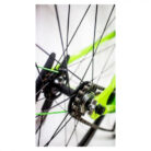 FROG-BIKES-70-KINDER-TRACK-BIKE-650-2.jpg