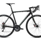 GRAVEL-BIKE-ACCENT-FALCON-SHIMANO-SORA-9V-700-MM-SCHWARZ-2022.jpg