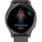 Garmin-Venu-2S-GPS-Multisport-Smartwatch-010-02429-10-6_800x800-5.jpg