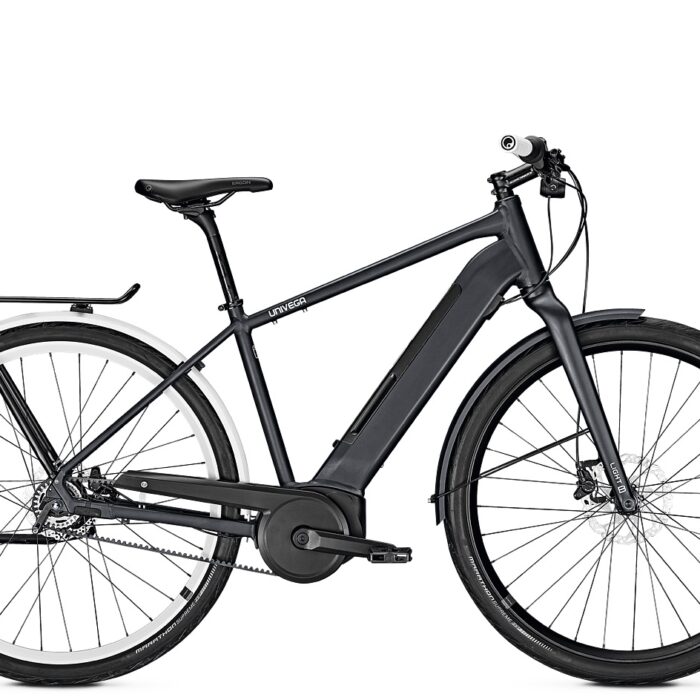 Geo-Light-B-Highline-Herren-500Wh_43812-1-1.jpg