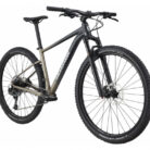 HALBSTARRES-MOUNTAINBIKE-CANNONDALE-TRAIL-SL-1-SRAM-NXSX-EAGLE-12V-29-GRAU-METEOR-BEIGE-1.jpg