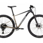 HALBSTARRES-MOUNTAINBIKE-CANNONDALE-TRAIL-SL-1-SRAM-NXSX-EAGLE-12V-29-GRAU-METEOR-BEIGE.jpg