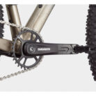 HALBSTARRES-MOUNTAINBIKE-CANNONDALE-TRAIL-SL-1-SRAM-NXSX-EAGLE-12V-29-GRAU-METEOR-BEIGE-2.jpg