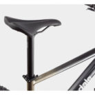 HALBSTARRES-MOUNTAINBIKE-CANNONDALE-TRAIL-SL-1-SRAM-NXSX-EAGLE-12V-29-GRAU-METEOR-BEIGE-4.jpg