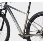 HALBSTARRES-MOUNTAINBIKE-CANNONDALE-TRAIL-SL-1-SRAM-NXSX-EAGLE-12V-29-GRAU-METEOR-BEIGE-6.jpg
