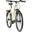 haibike-trekking-4-trapeze-desert-white-3.jpg