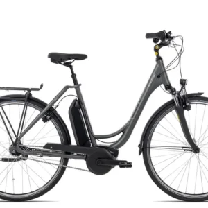 Raleigh Cardiff LB Plus R | 57 cm | techgreen matt | 28 Zoll