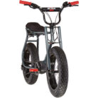 ruff-cycles-lilbuddy-20-anthracite-3.jpg