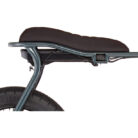 ruff-cycles-lilbuddy-20-anthracite-8.jpg