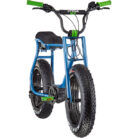 ruff-cycles-lilbuddy-20-blue-green-3.jpg