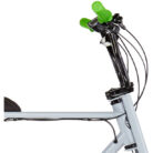 ruff-cycles-lilbuddy-20-grey-green-4.jpg
