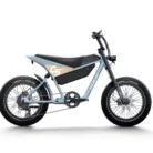 Himiway C5 | Premium Moped Style E-Bike