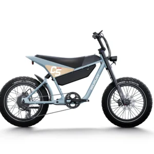 Himiway C5 | Premium Moped Style E-Bike