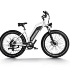 Himiway D3 (Cruiser) | All Terrain Elektrofahrrad