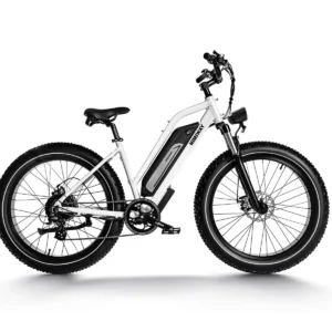 Himiway D3 (Cruiser) | All Terrain Elektrofahrrad
