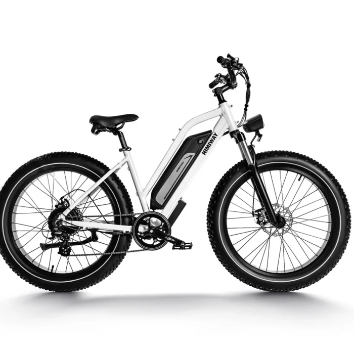 Himiway D3 (Cruiser) | All Terrain Elektrofahrrad